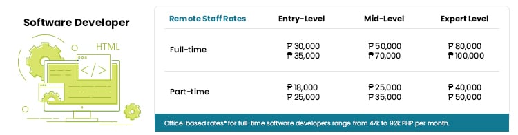 software developer