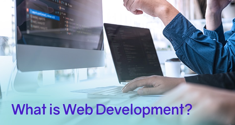 What is Web Development