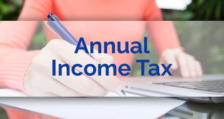 Annual Income Tax