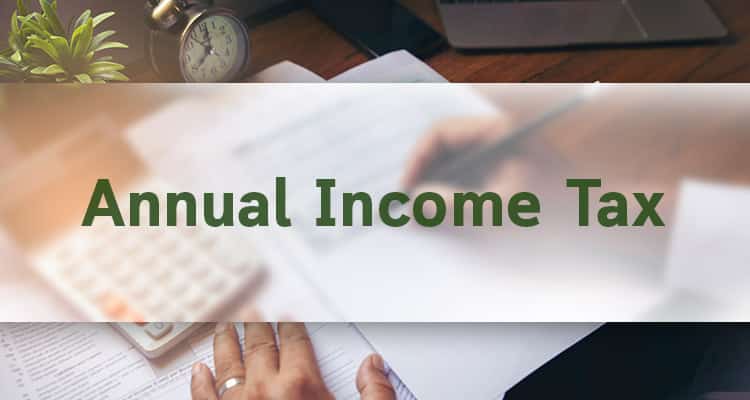 Annual Income Tax