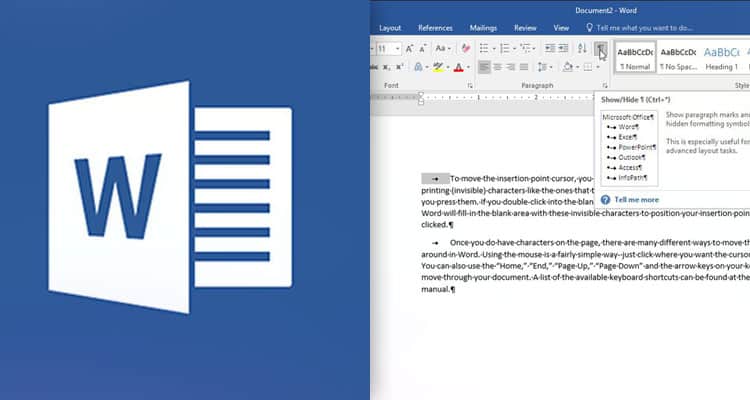 Microsoft Word