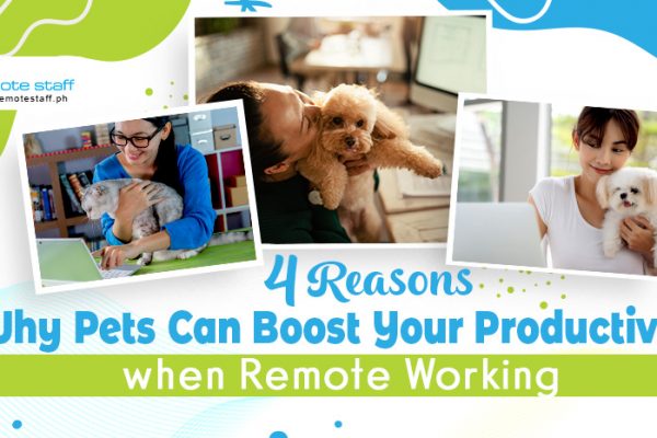 feature - 4 Reasons Why Pets Can Boost Your Productivity when Remote Working