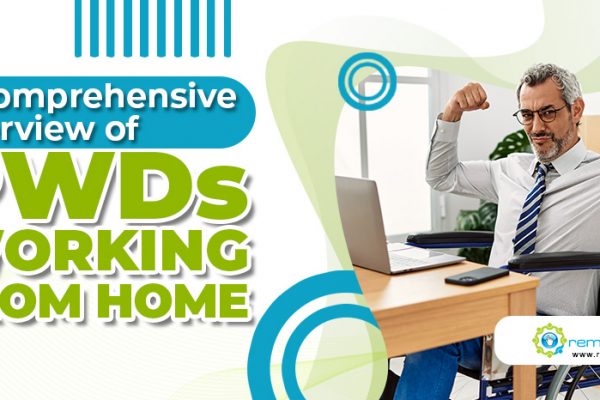 A Comprehensive Overview of PWDs Working From Home