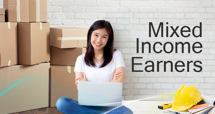 Mixed Income Earners