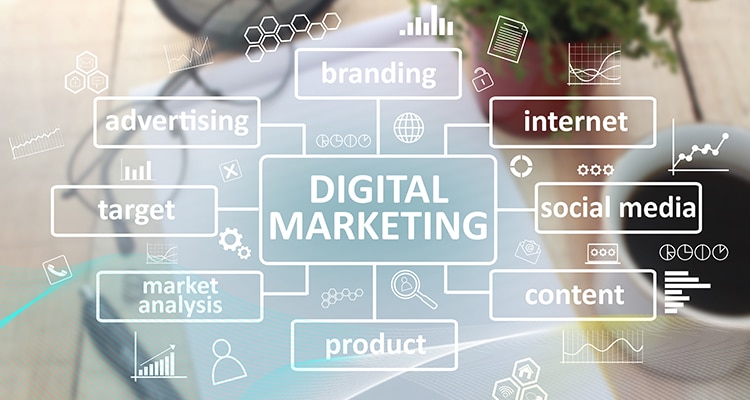 What does a Digital Marketing Manager do