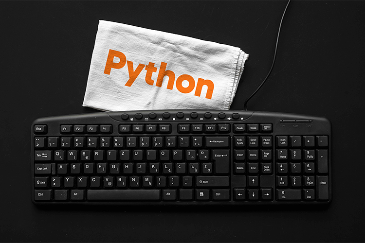 Hone These Essential Python Developer Skills