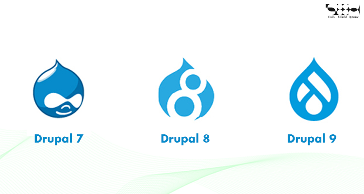 What Version of Drupal Can You Work On?