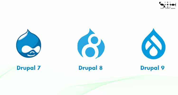 What Version of Drupal Can You Work On?