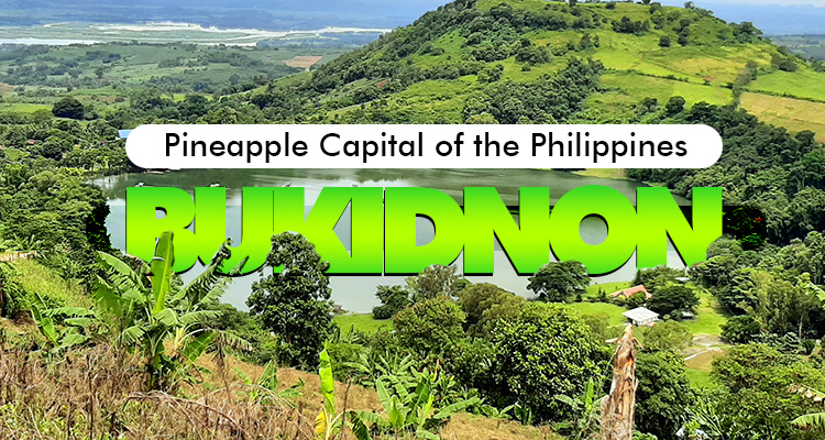 Come See the Pineapple Capital of the Philippines Today!