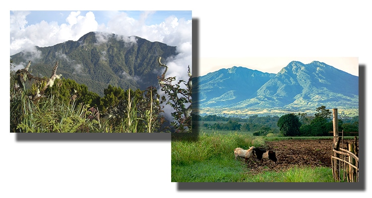 Mt. Dulang-Dulang and Kitanglad