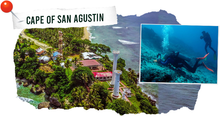 Dive off the Cape of San Agustin