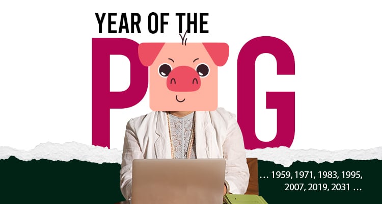 Pig