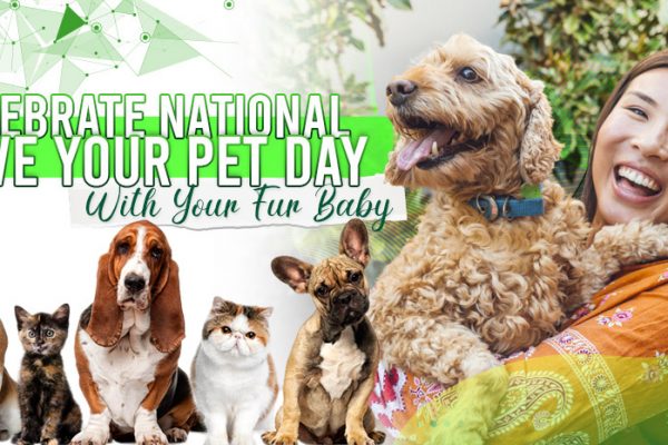 Celebrate National Love Your Pet Day With Your Fur Baby