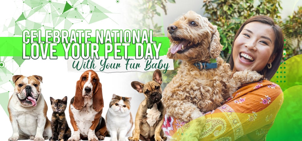 how do you celebrate national love your pet day