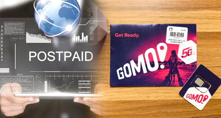 Postpaid-and-GOMO-Subscribers
