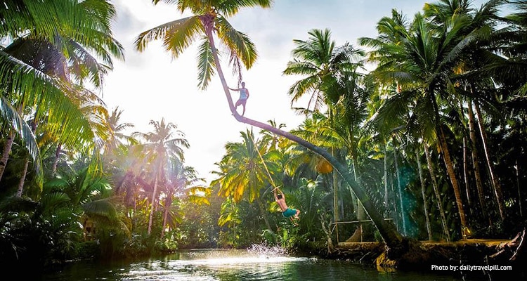 Swing from Maasin’s Bent Coconut Tree Rope