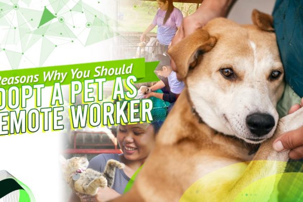 7 Reasons Remote Workers Should Adopt a Pet
