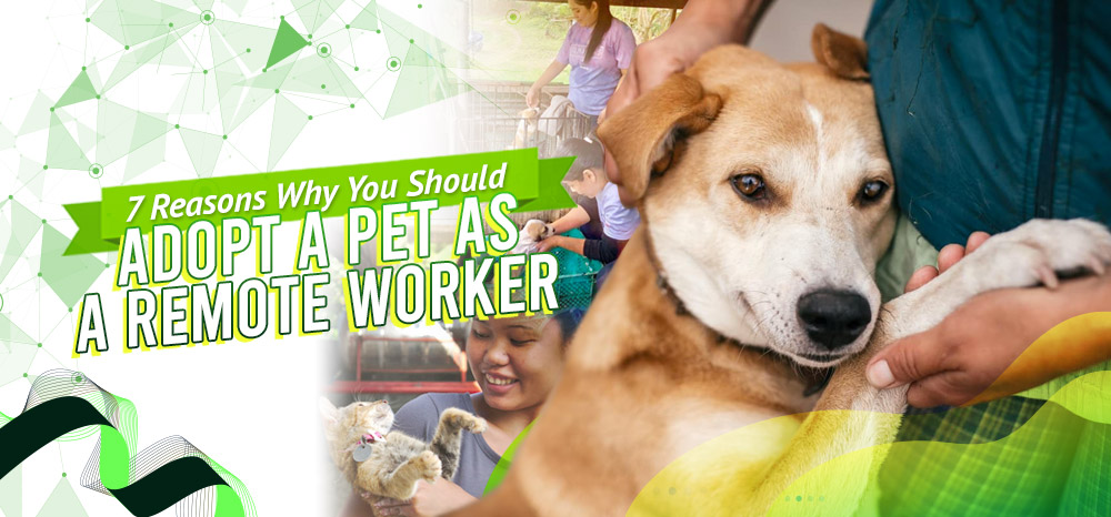 7 Reasons Remote Workers Should Adopt a Pet
