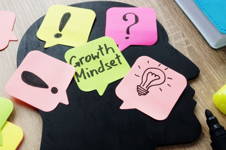 Adopt a Growth Mindset