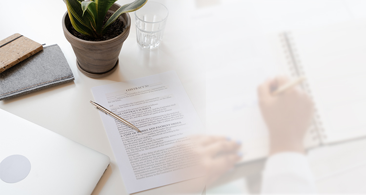What is an Employment Contract