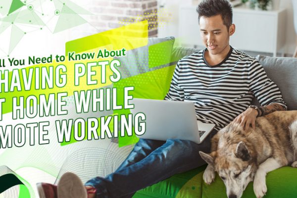All You Need to Know About Having Pets at Home While Working Remotely