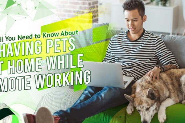 All You Need to Know About Having Pets at Home While Working Remotely