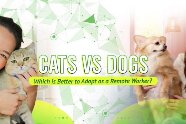 Cats vs Dogs Which is Better to Adopt as a Remote Worker