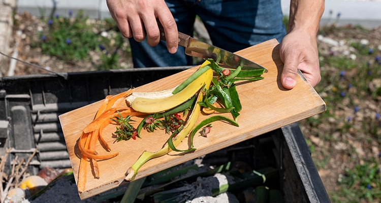 Try Composting