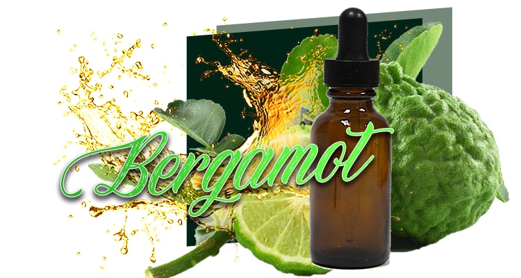 Bergamot